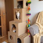 diy cat home DIY cat tree from cardboard boxes