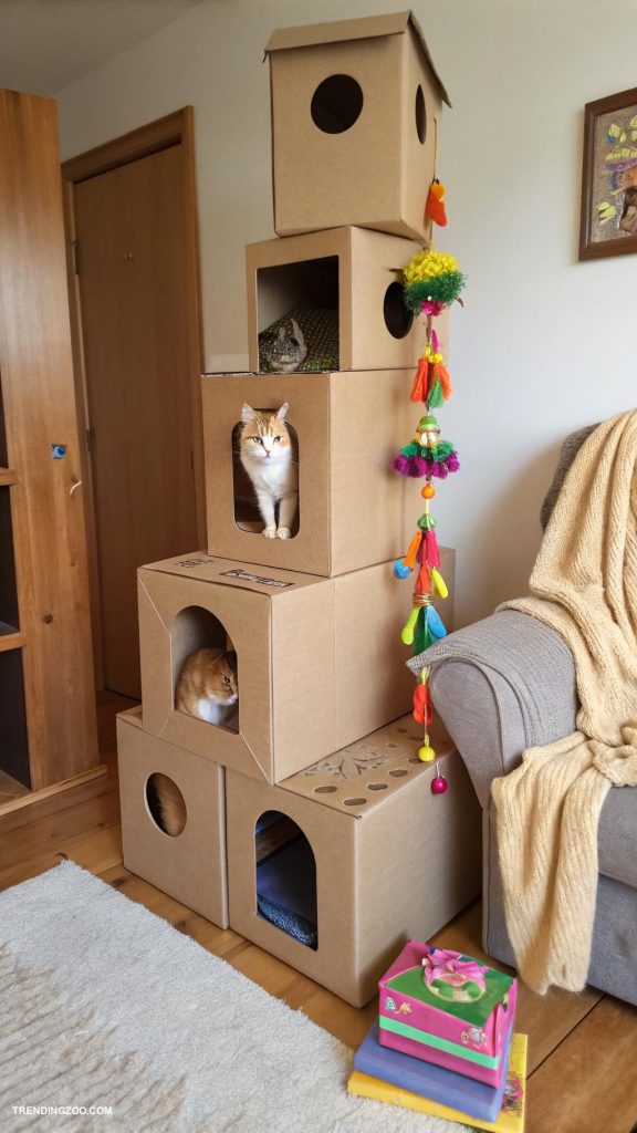 diy cat home DIY cat tree from cardboard boxes
