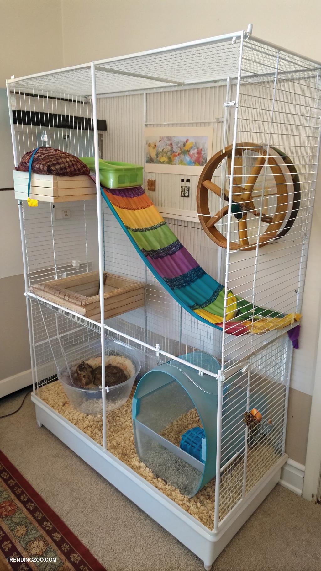 hamster enclosure ideas Large wire cage with climbing shelves