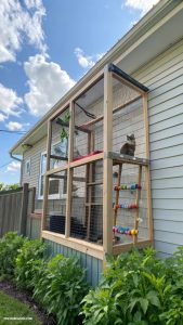 small window catios Framed catio to view the outside