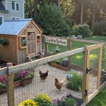 chicken fencing kits