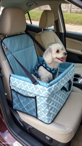 diy dog car seat DIY pet seat with storage compartment