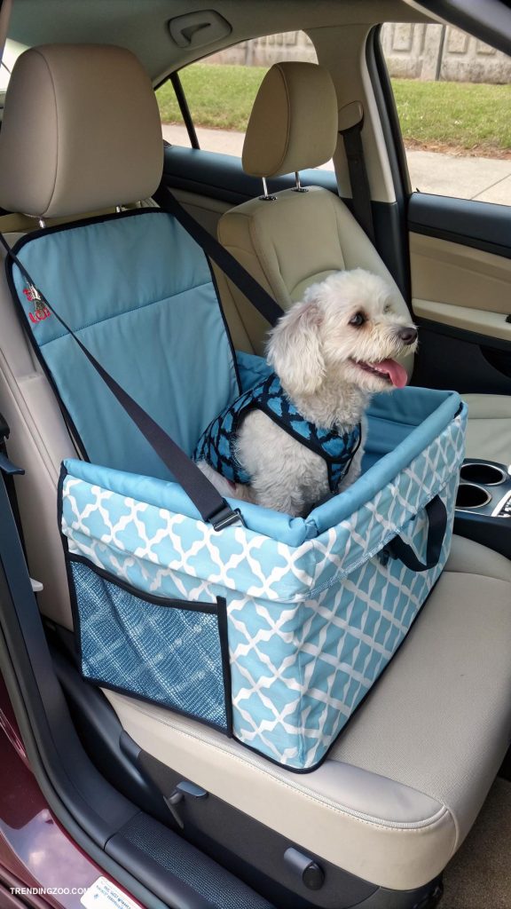 diy dog car seat DIY pet seat with storage compartment