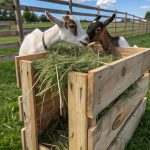 diy hay feeder for goats Repurposed wooden crate holder