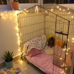 dog cage decoration ideas Mini fairy lights for a cheerful ambiance