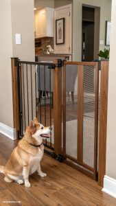 dog gates ideas Pet gate with innovative auto close feature