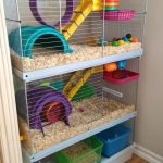 hamster cage setup Vertical design to maximize floor space