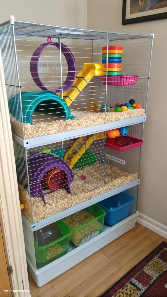 hamster cage setup Vertical design to maximize floor space