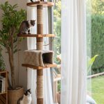 cat window enclosure ideas Multi level cat tree with window access