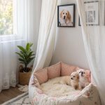 dog setup in bedroom Cozy dog bed under the window