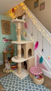 under stairs cat room Cat tree with toys galore