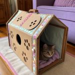 diy cat carrier Reinforced cardboard carry box