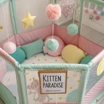 kitten playpen Create a themed playpen with colors