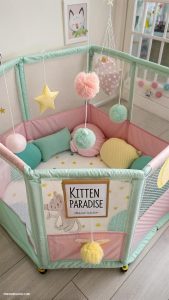 kitten playpen Create a themed playpen with colors
