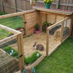 outdoor bunny enclosure Enclosed run with digging space