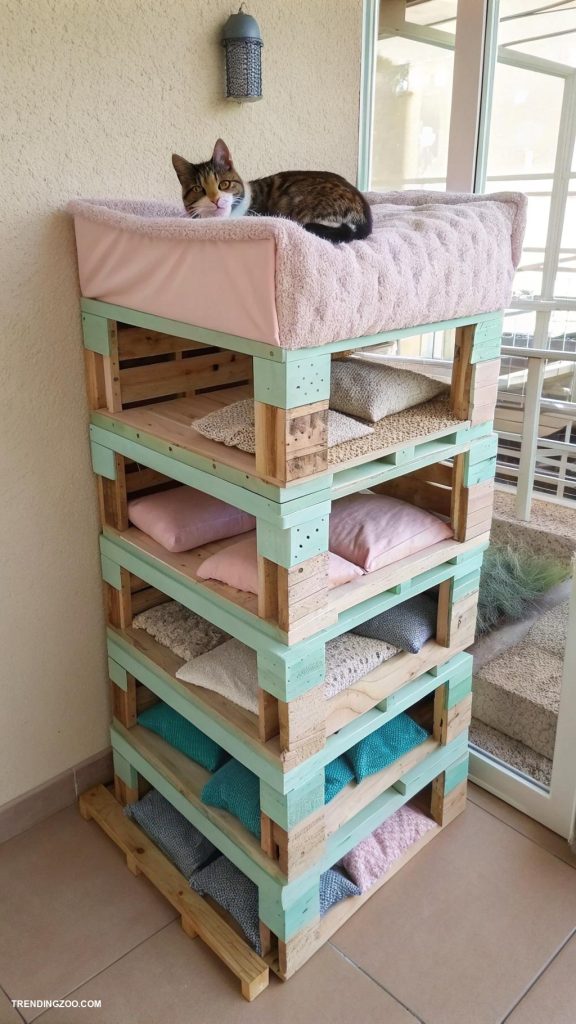 pallet cat house Stacked pallets for vertical climbing space