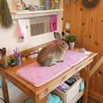 rabbit barn ideas Dedicated grooming area with supplies
