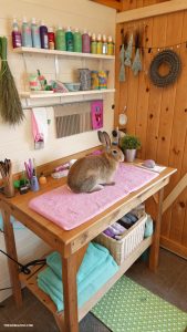 rabbit barn ideas Dedicated grooming area with supplies